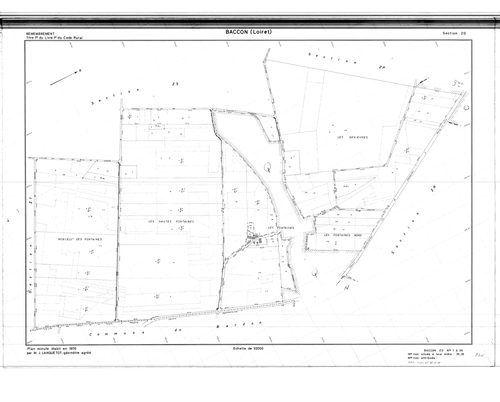 Baccon - Sections