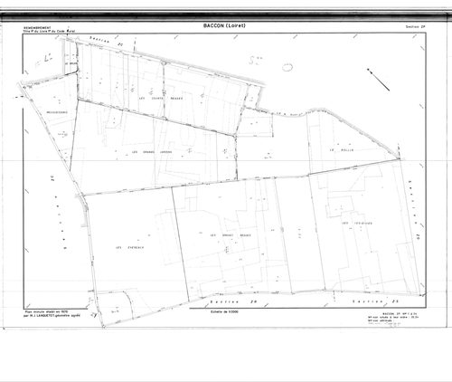 Baccon - Sections