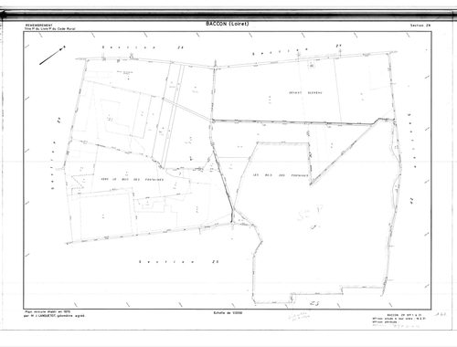 Baccon - Sections