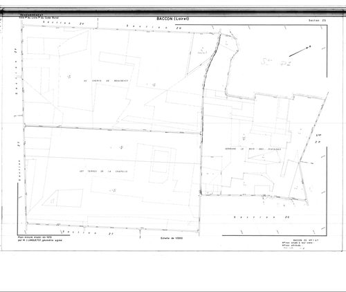 Baccon - Sections