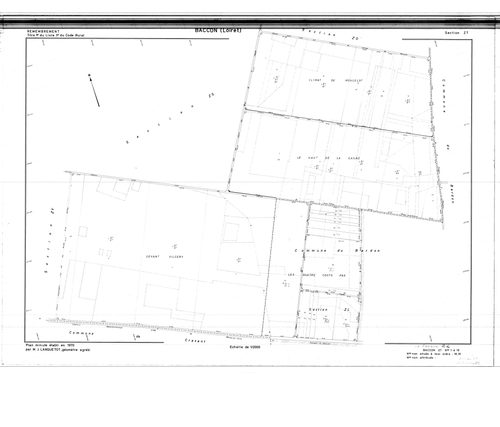 Baccon - Sections
