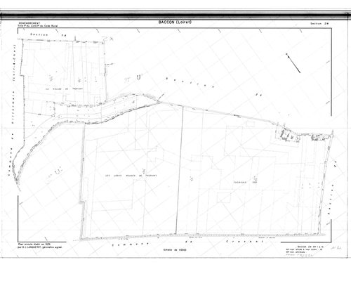 Baccon - Sections