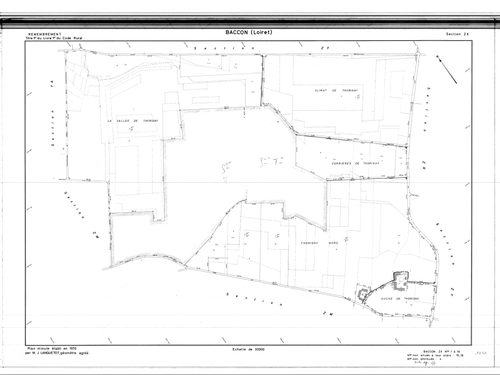 Baccon - Sections