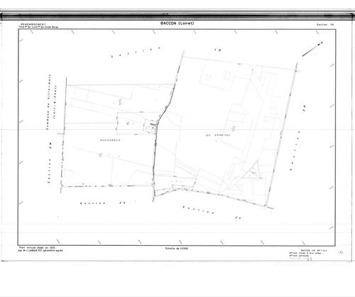 Baccon - Sections