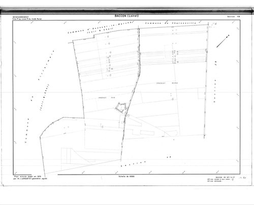 Baccon - Sections