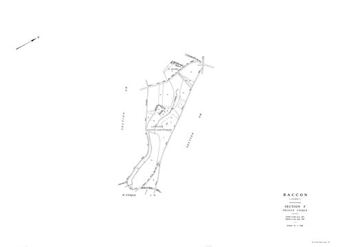 Baccon - Sections