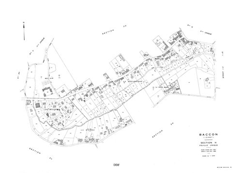 Baccon - Sections