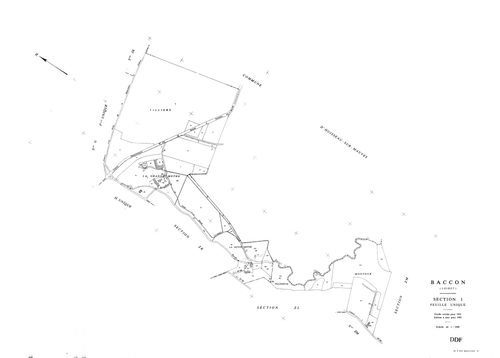 Baccon - Sections