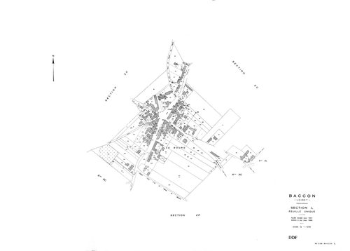 Baccon - Sections