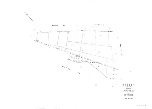 Baccon - Sections