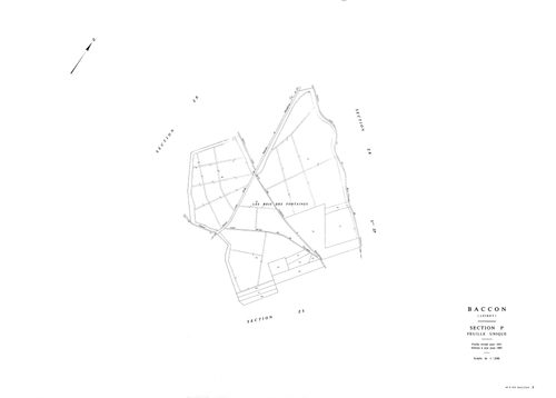 Baccon - Sections