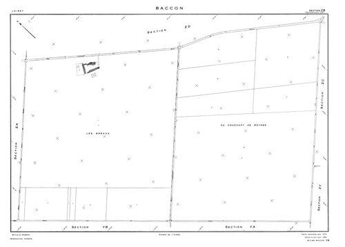 Baccon - Sections