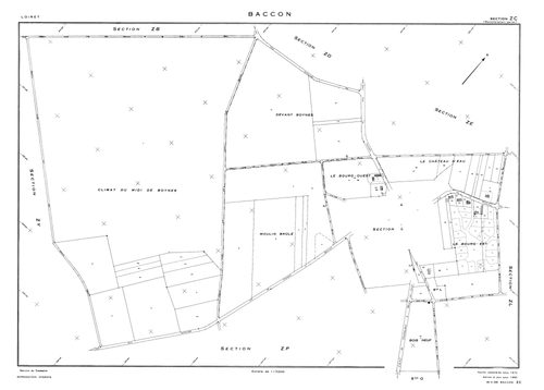 Baccon - Sections