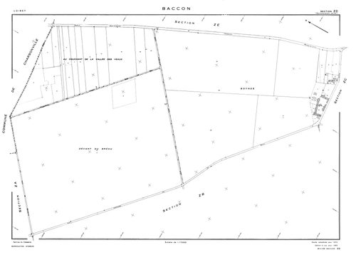 Baccon - Sections