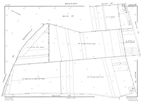 Baccon - Sections