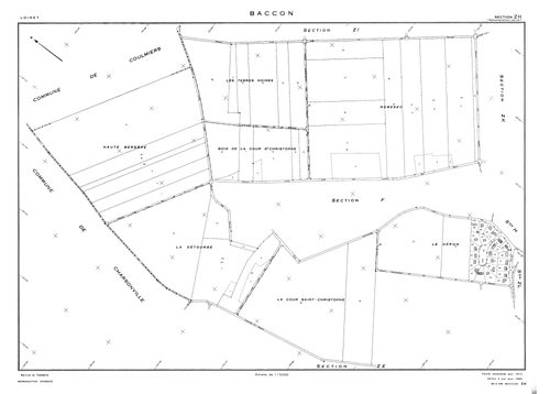 Baccon - Sections