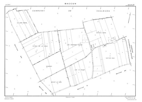 Baccon - Sections