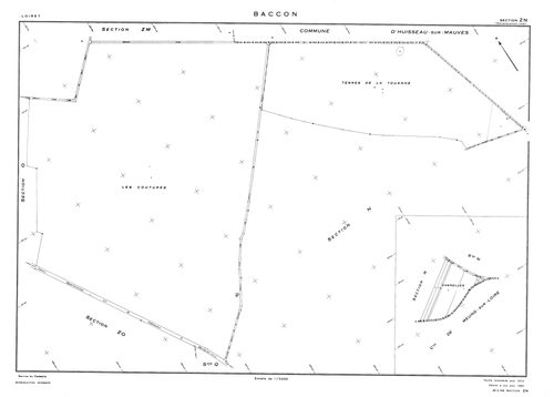 Baccon - Sections