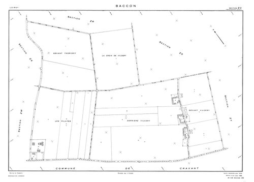 Baccon - Sections