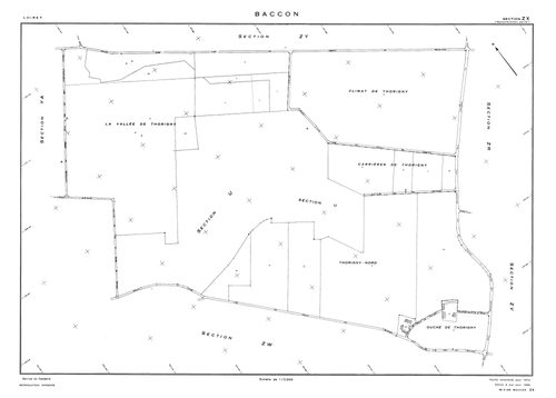 Baccon - Sections