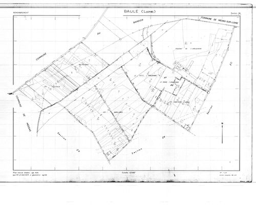 Baule - Sections