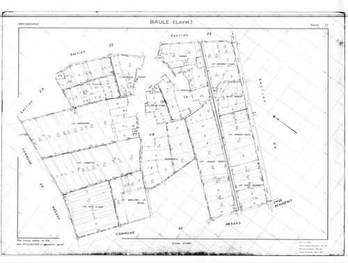 Baule - Sections