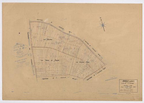 Baule - Sections