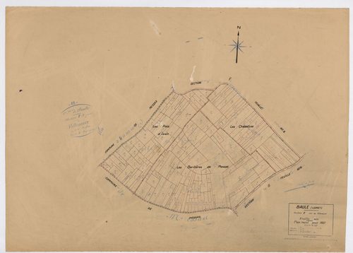 Baule - Sections