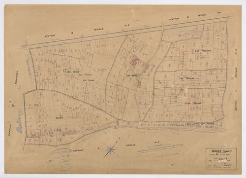 Baule - Sections