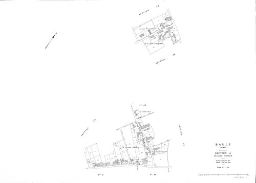 Baule - Sections