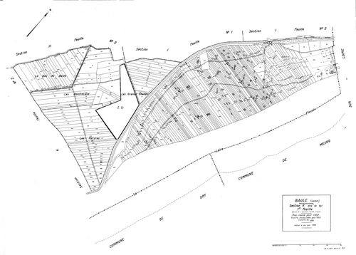 Baule - Sections