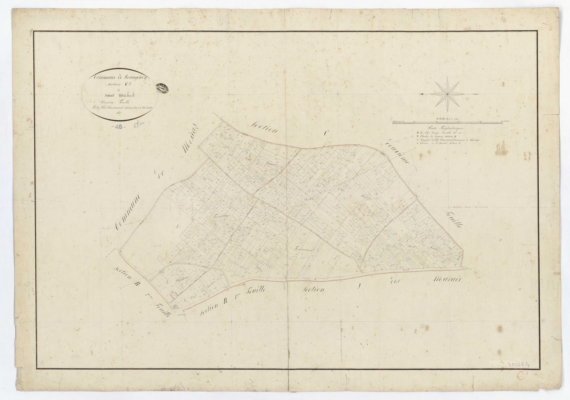 Beaugency - Sections