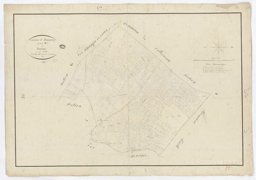 Beaugency - Sections