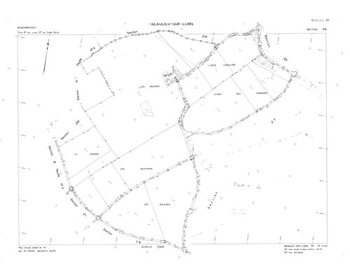 Beaulieu-sur-Loire - Sections
