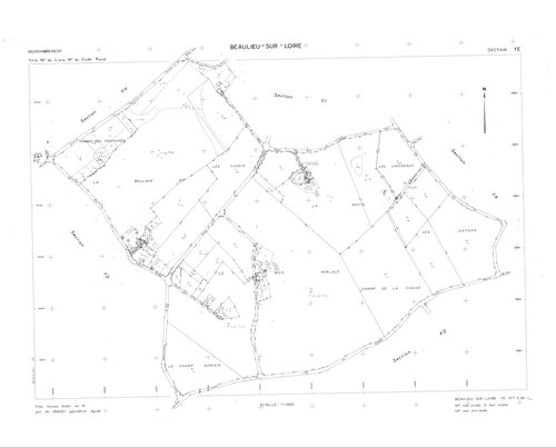 Beaulieu-sur-Loire - Sections