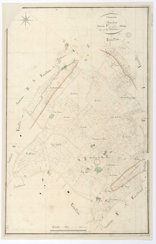 Beaulieu-sur-Loire - Sections