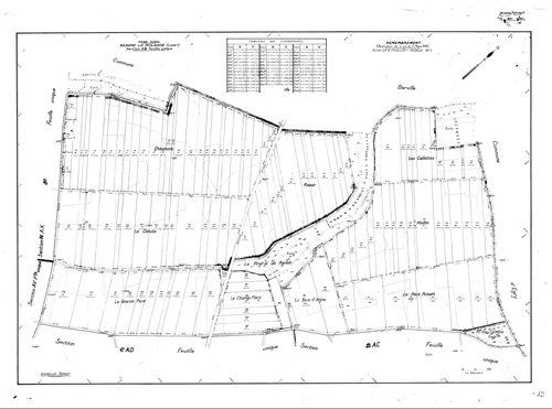 Beaune-la-Rolande - Sections
