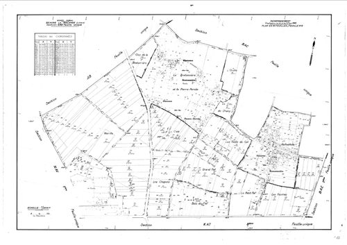 Beaune-la-Rolande - Sections