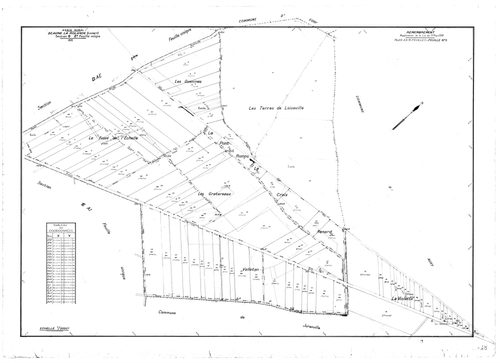 Beaune-la-Rolande - Sections