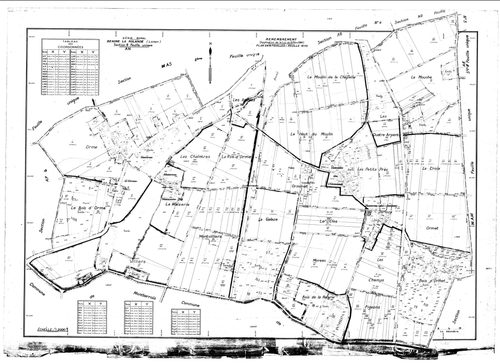 Beaune-la-Rolande - Sections
