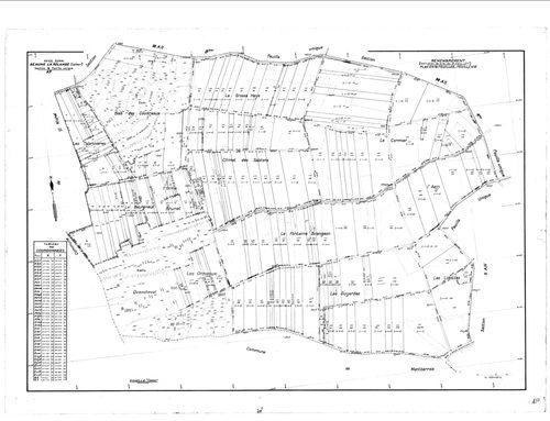 Beaune-la-Rolande - Sections