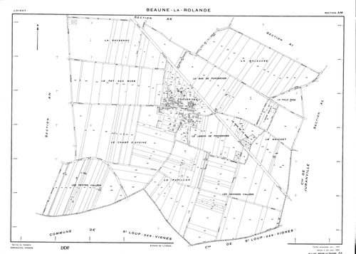 Beaune-la-Rolande - Sections