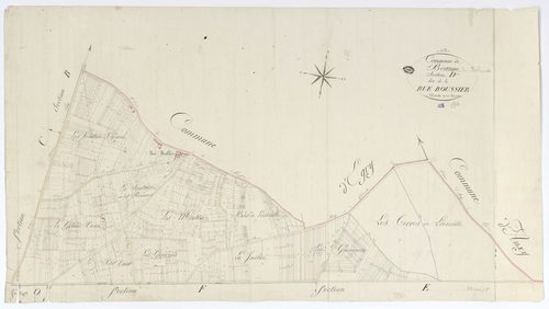 Beaune-la-Rolande - Sections