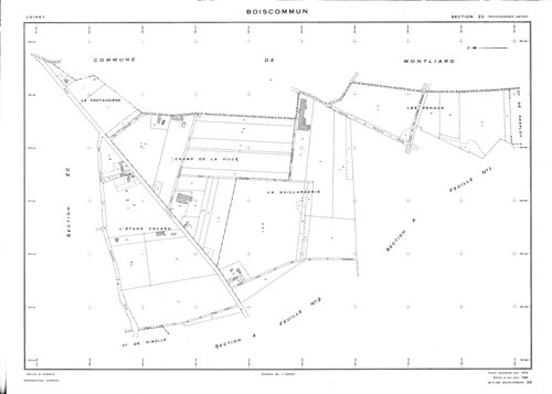 Boiscommun - Sections