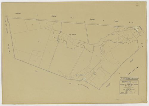 Boismorand - Sections
