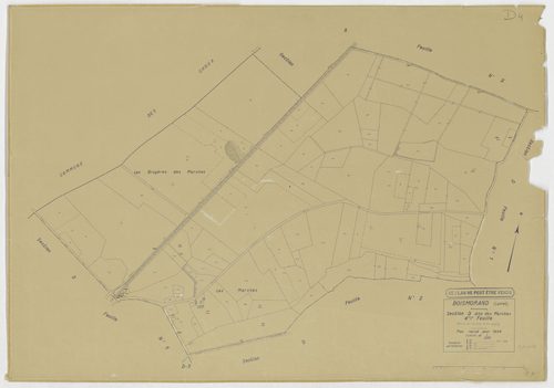 Boismorand - Sections