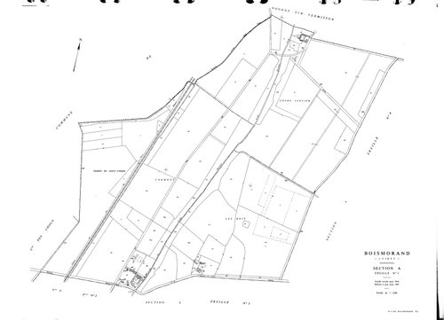 Boismorand - Sections
