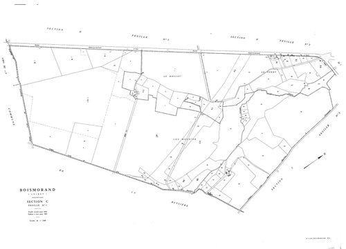 Boismorand - Sections