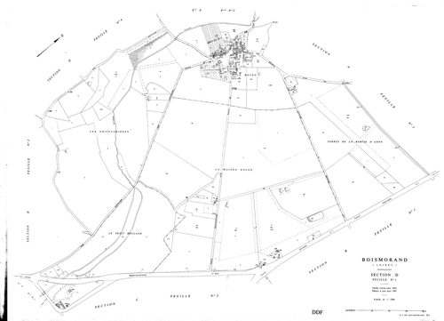 Boismorand - Sections