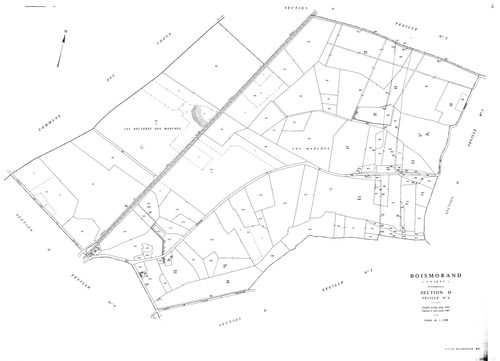 Boismorand - Sections